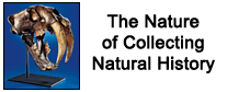 Collecting Natural History