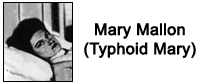 Typhoid Mary